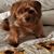 Raquel Madrigal's profile image