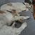 Brenda Masters LoBello's profile image