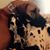 Kate DeMatteo's profile image