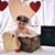 Reka Chapin's profile image