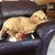 Darlene Thomas Smith's profile image
