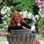 Sandy Hanne's profile image