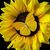 Tamy Johnston's profile image