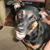 Aimee Fernandes's profile image