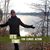 Melanie Schrock Perry's profile image