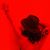 Caro Larrieu's profile image