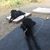 Erinn Maher Shaw's profile image