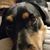 Amanda Reed's profile image