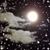 Theresa Newton Forystek's profile image