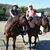 Mary Garbe- Hornback's profile image