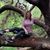 Robin Renee Hayes's profile image