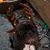 Rick Pinter's profile image