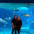 Karen Asher-Cohen's profile image