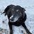 Holly Nichols's profile image