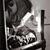 Jose Puente's profile image