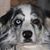 Joye Estes's profile image
