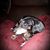 Joni Tosill's profile image