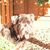 Lucie Bouvier's profile image