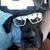 PJ Enders's profile image