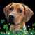 Jill Reba-Cash's profile image