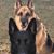Chris Flint's profile image