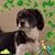 Rose M Jackson Bailer's profile image