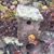 Christine Be's profile image