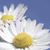 Marilyn Glover's profile image