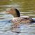 Sherry Clarke's profile image