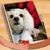 Mike Starrett's profile image