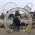 Kathy Howard Morgan's profile image