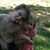 Tracy Price's profile image