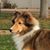 Joy Bishop's profile image