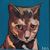 Kerry Jernigan Jacobs's profile image