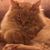 David Benson's profile image