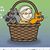 Mary Jane Miller Wilhite's profile image