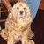 Debbie Cook Davis's profile image