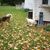 Tammy Pierce's profile image