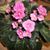 Mary Wagener's profile image