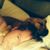 Chuck Dawes's profile image