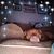 Nikki Schaefer's profile image