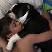 Monica Tejeda's profile image