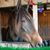 Angie Epling's profile image