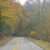 Debra Cutright Irvine's profile image