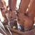 Aletta van der Westhuizen's profile image