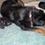 Betty Meadors Beggs's profile image