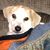 Cheryl Combs's profile image