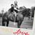 Twin Gaits Stables's profile image
