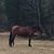 Sharon Parsons's profile image