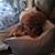 Becky Laduke's profile image